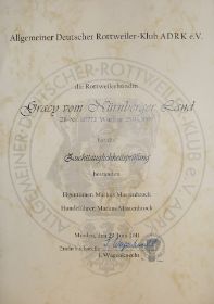 SDC11063.JPG