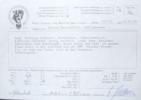 SDC11069.JPG