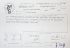 SDC11073.JPG